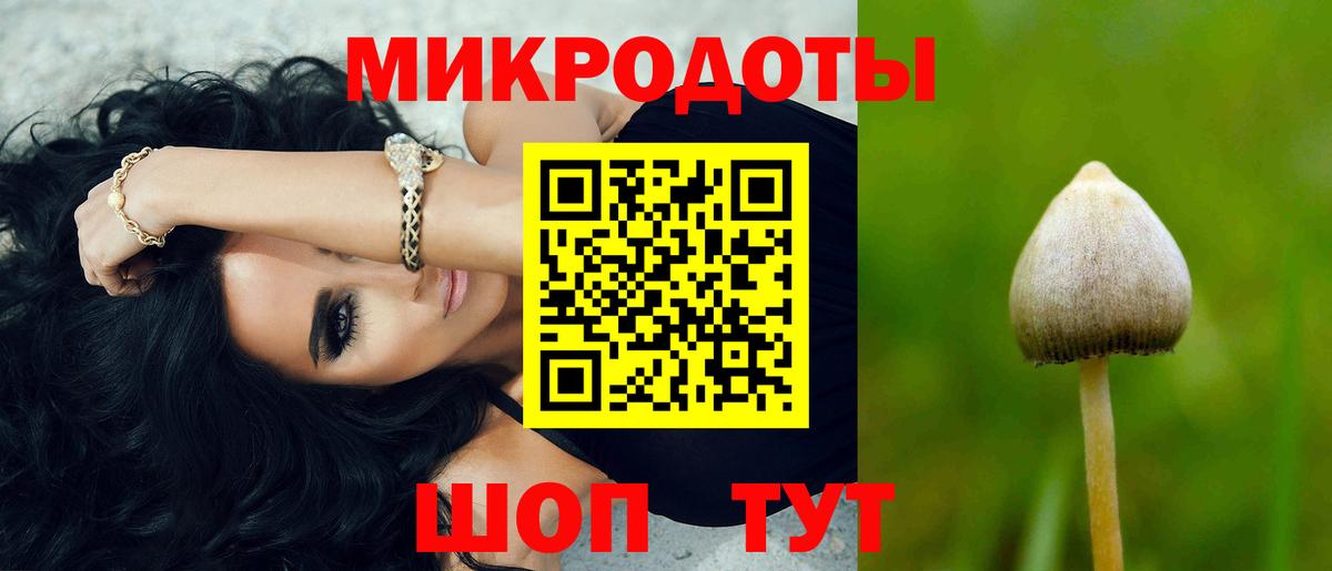 Псилоцибиновые грибы Psilocybe Наро-Фоминск