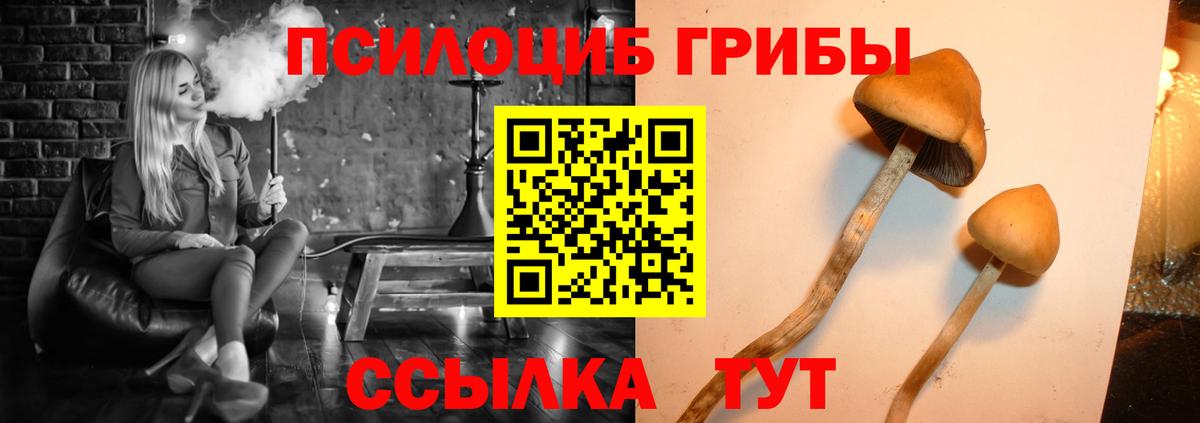Галлюциногенные грибы Cubensis  Вход с VPN  Наро-Фоминск  Псилоцибиновые грибы Psilocybe 